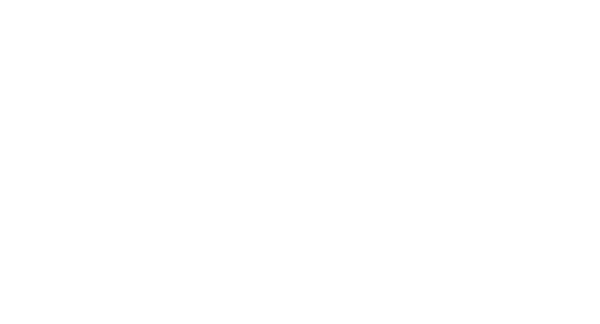 APG Logo